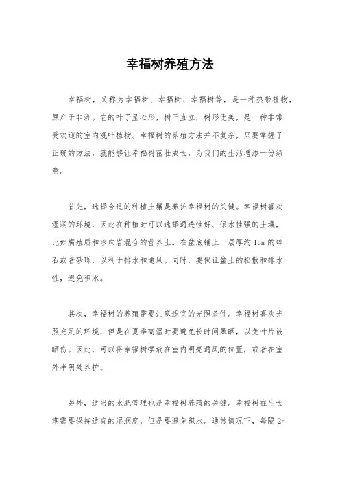 幸福树养殖方法