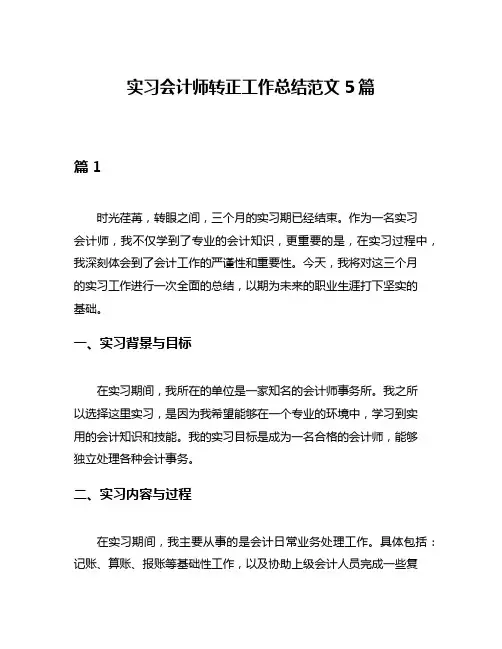 实习会计师转正工作总结范文5篇