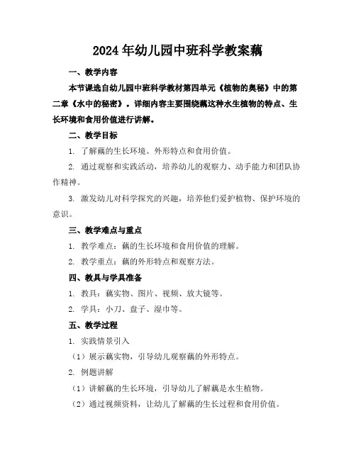 2024年幼儿园中班科学教案藕
