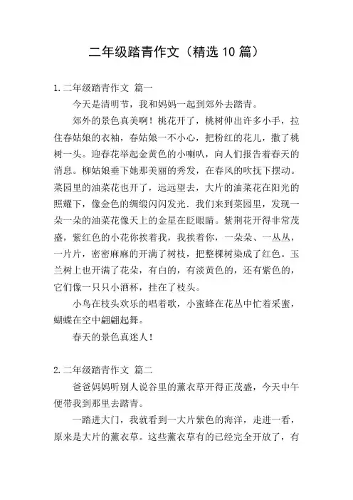 二年级踏青作文(精选10篇)
