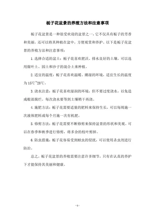 栀子花盆景的养殖方法和注意事项