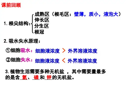 考点九 蒸腾作用(21张PPT)