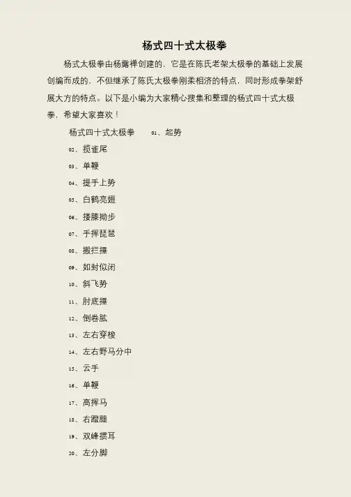 杨式四十式太极拳
