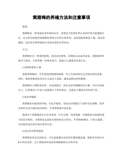 黄腊梅的养殖方法和注意事项