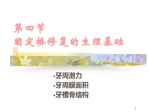 牙周潜力牙周膜面积牙槽骨结构PPT课件