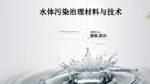 水体污染及其处理ppt