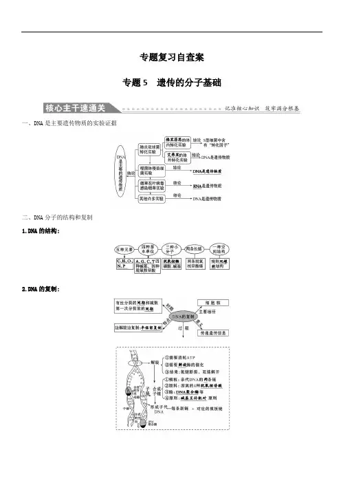 2019版高考生物二轮复习练习：专题五 遗传的分子基础 专题复习自查案(含答案)