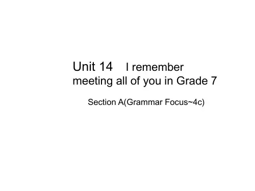 人教版九年级英语全册课件：Unit 14 Section A(Gramma