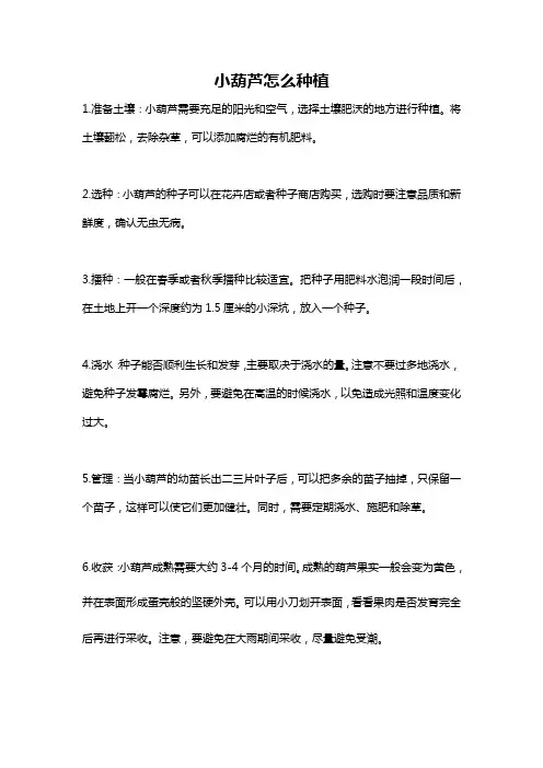 小葫芦怎么种植