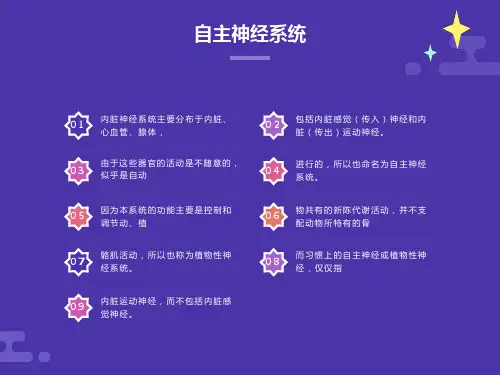 系统解剖学.内脏神经系统