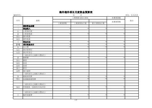 境外施工项目资金预算表