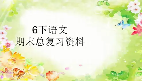 人教版小学六年级下册语文总复习PPT课件