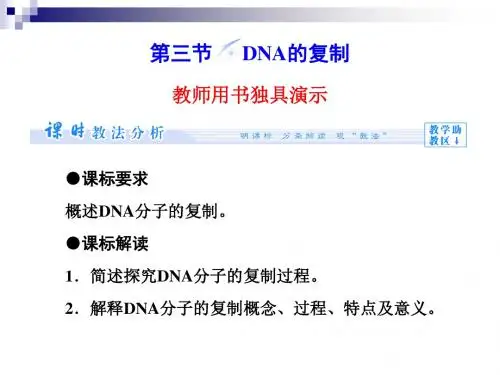 中图版必修2DNA的复制 课件(59张)