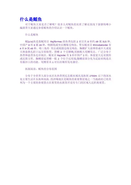 什么是鳐鱼