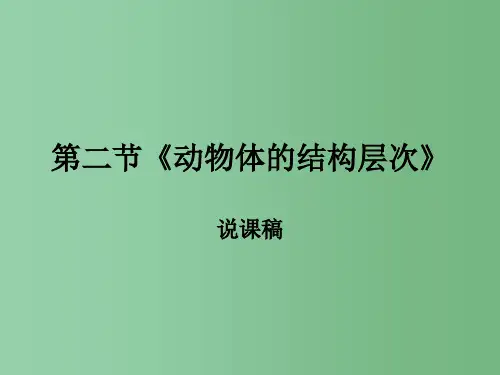 七年级生物上册 第二单元 第二章 第2节《动物体的结构层次》说课课件 (新版)新人教版