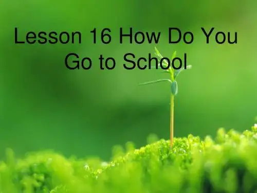 冀教版英语四下：《lesson 16 how do you walk to school》ppt课件(3)