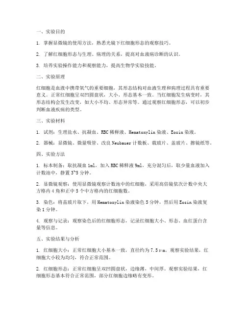红细胞形态观察实训报告