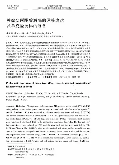 肿瘤型丙酮酸激酶的原核表达及单克隆抗体的制备