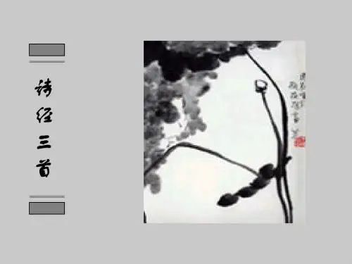 诗经三首 PPT课件 42 人教版