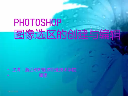 PHOTOSHOP图像选区的创建与编辑.ppt