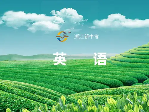 中考英语(人教版)动词的时态和语态 (共114张PPT)