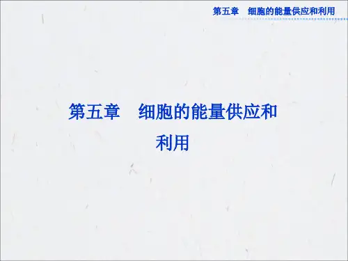 【人教版新课标高中生物必修一全套课件】5.1降低化学反应活化能的酶 课件(人教必修1)