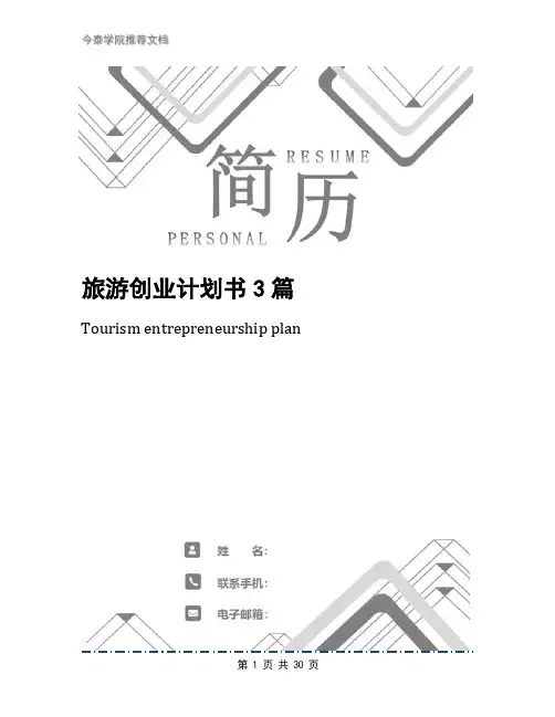 旅游创业计划书3篇