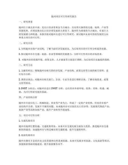 随州项目可行性研究报告