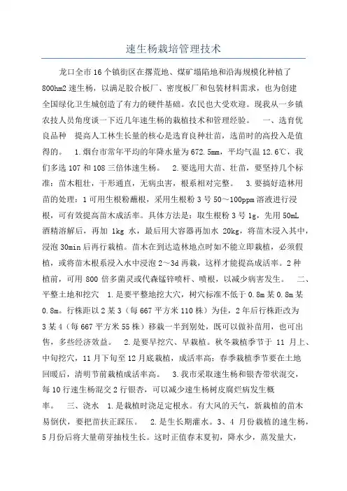 速生杨栽培管理技术