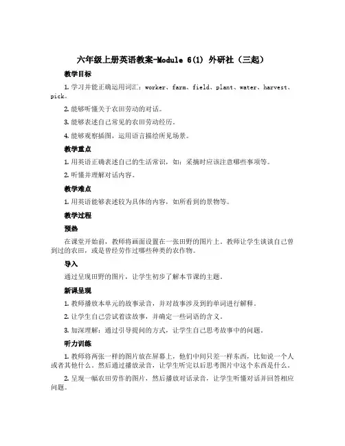 六年级上册英语教案-Module 6(1) 外研社(三起)