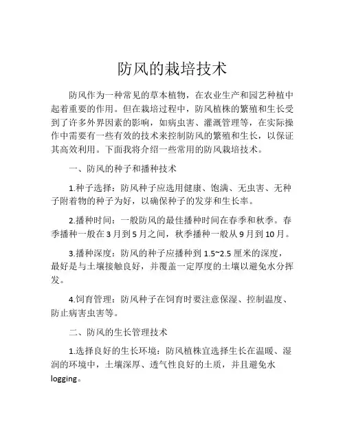 防风的栽培技术