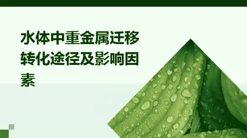 水体中重金属迁移转化途径及影响因素