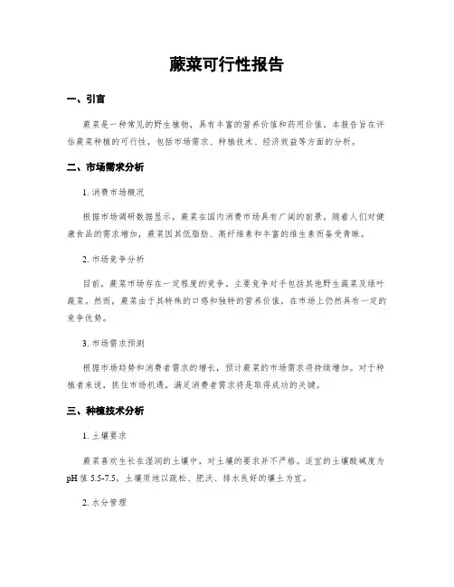 蕨菜可行性报告