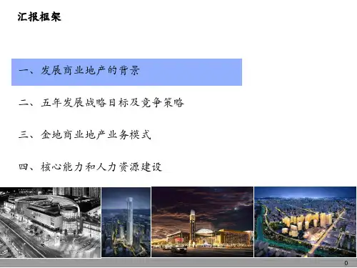 商业地产公司发展战略规划课件