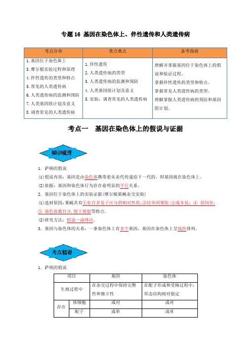 专题16 基因在染色体上、伴性遗传和人类遗传病(串讲)(解析版)