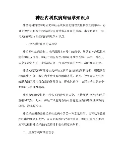 神经内科疾病病理学知识点