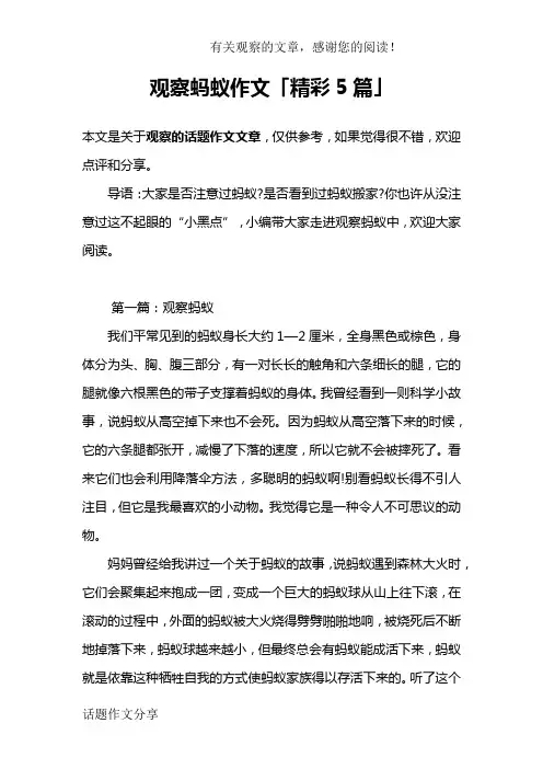 观察蚂蚁作文「精彩5篇」