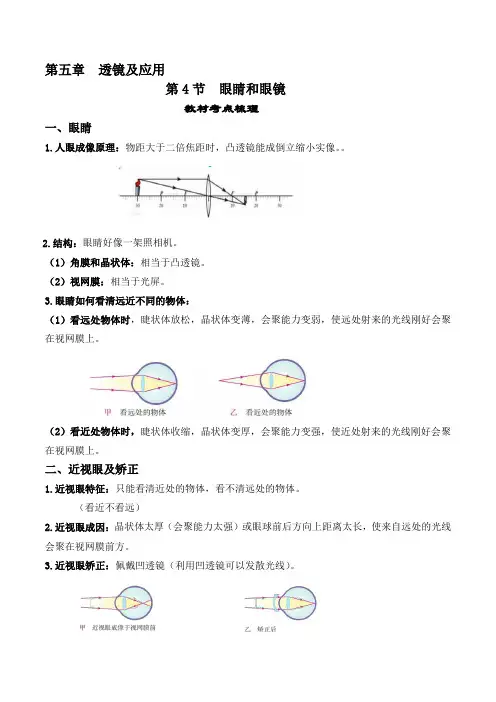 5.4眼睛和眼镜-【课堂笔记】2023-2024学年八年级物理上册教材解读与重难点突破(人教版) 