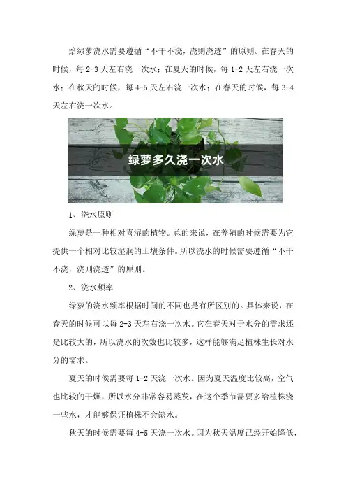 绿萝多久浇一次水