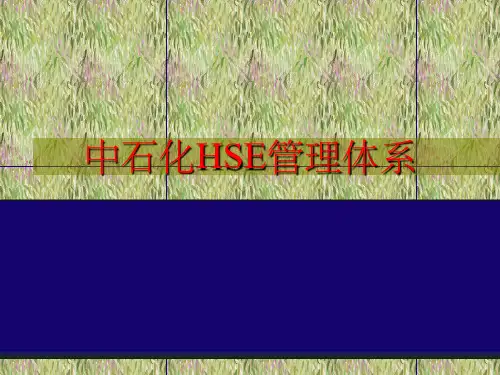 《中石化HSE》PPT课件