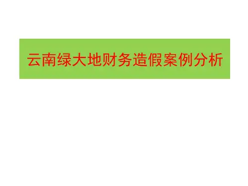 财务造假案例分析(PPT 47页)