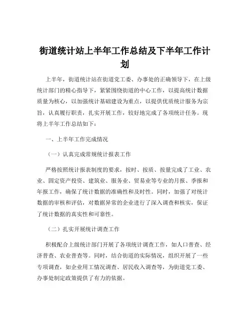 街道统计站上半年工作总结及下半年工作计划