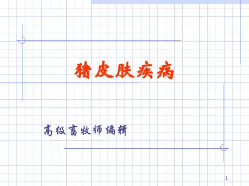 猪皮肤性疾病病变PPT课件