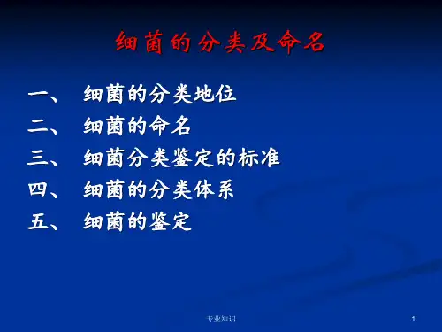 细菌的分类及命名[知识研究]