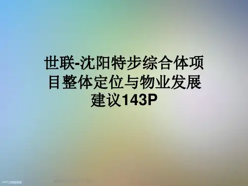 世联-沈阳特步综合体项目整体定位与物业发展建议143P