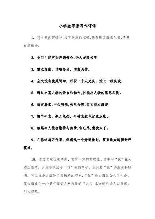 小学生写景习作评语（四篇）