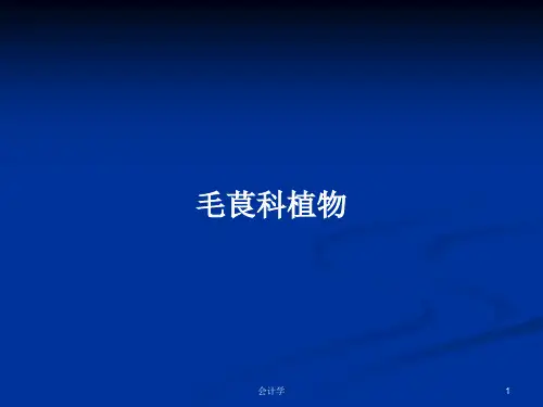 毛茛科植物PPT学习教案
