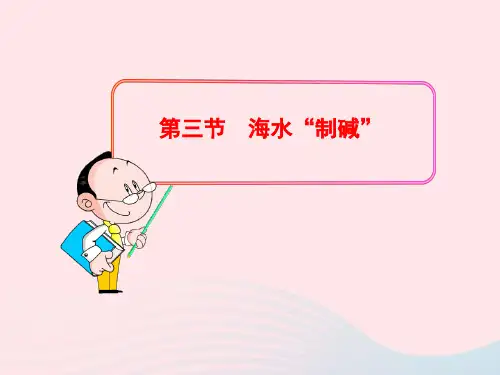 九年级化学全册 第二单元 海水中的化学 第三节 海水 制碱课件 鲁教版五四制