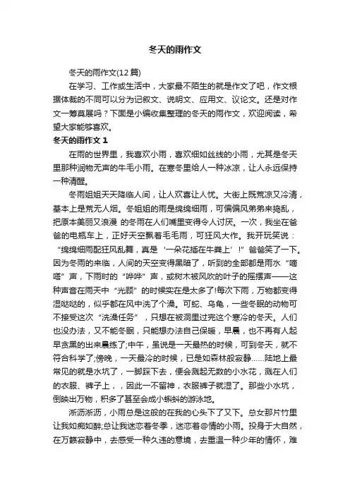 冬天的雨作文