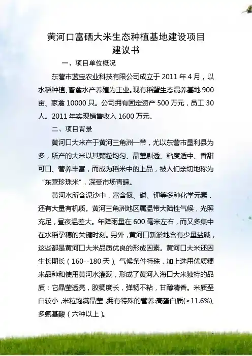 #黄河口富硒大米种植与加工项目建议书